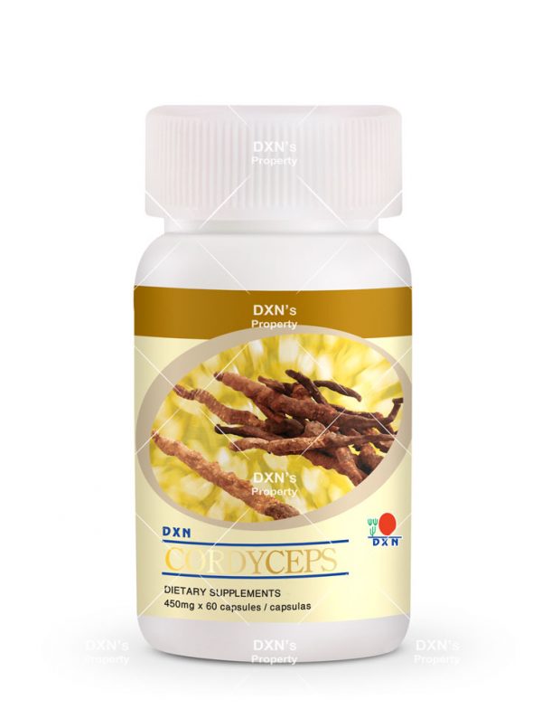 Cordyceps 60 cápsulas DXN